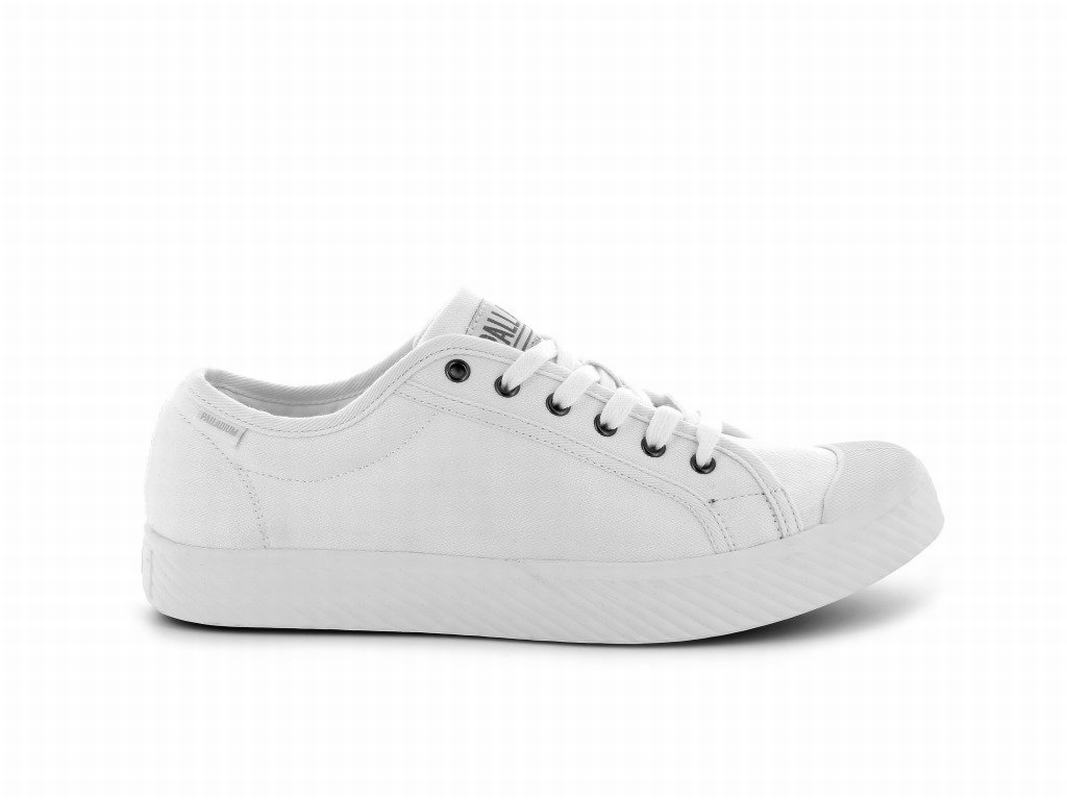 Palladium Pallaphoenix Og Canvas Men's Low Top Sneakers White (IKAR58023)